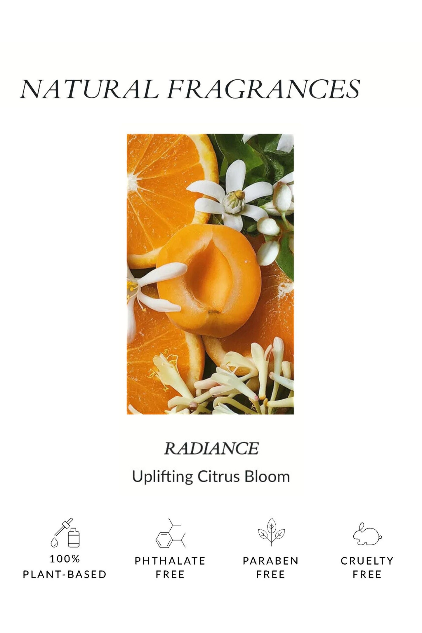 Body Serum Candle Fragrance